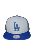 Mitchell & Ness embroidered Los Angeles Dodgers Triple Play Liberty baseball cap