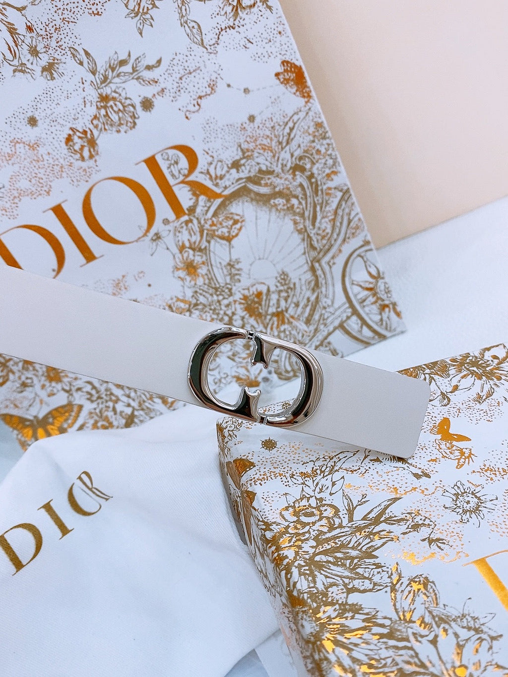 DIOR 25S BELT 25 MM IN WHITE CALFSKIN 561820